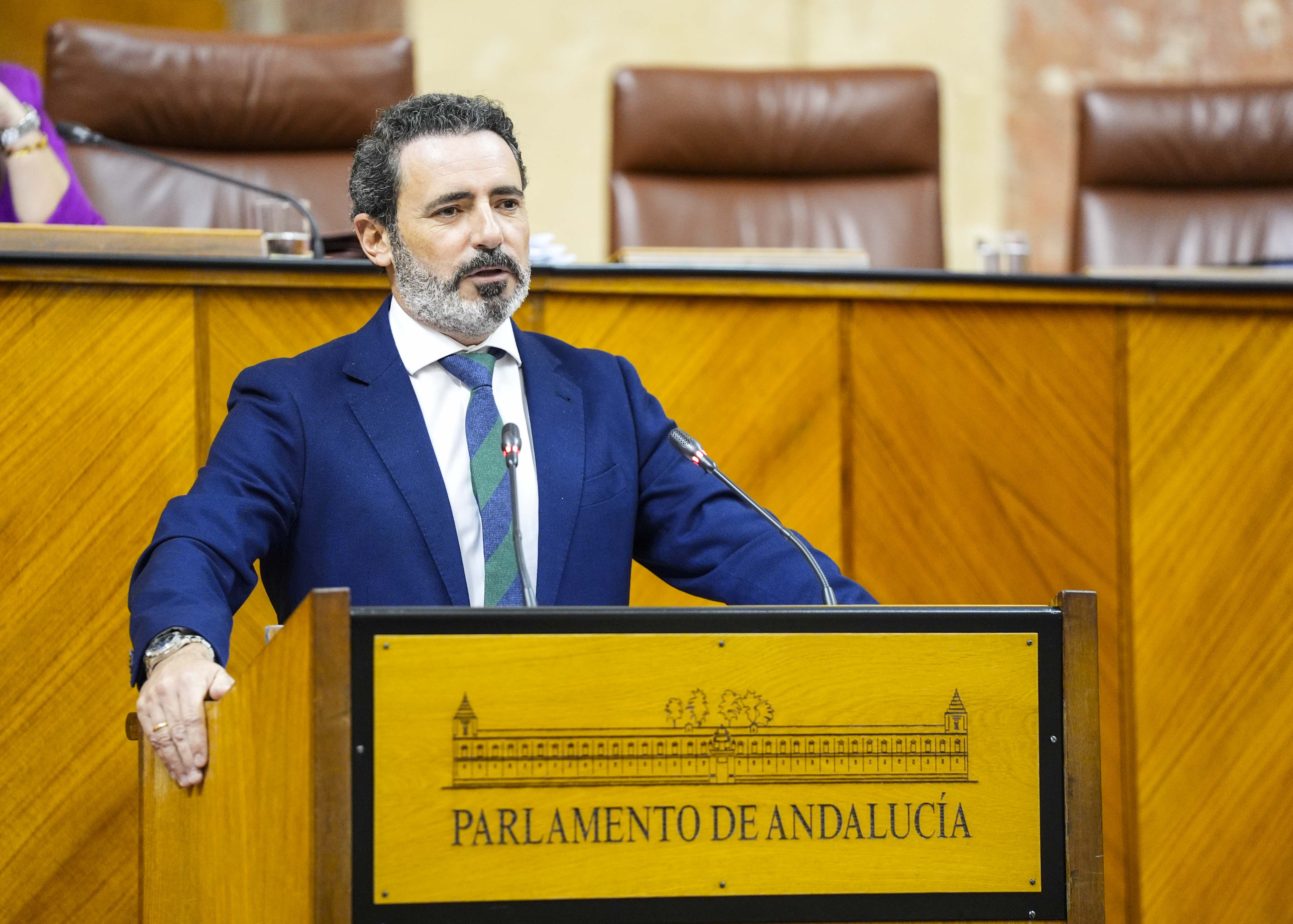 Jos Ramn Carmona, del G.P. Popular de Andaluca, cierra el orden del da con una PNLP relativa a Mlaga como sede del Centro Nacional de Ciberseguridad 