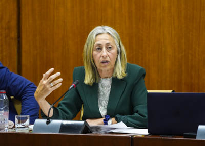La consejera de Salud y Consumo, Roco Hernndez, comparece para informar, entre otros aspectos, de las actuaciones para hacer frente al Virus del Nilo en Andaluca 
