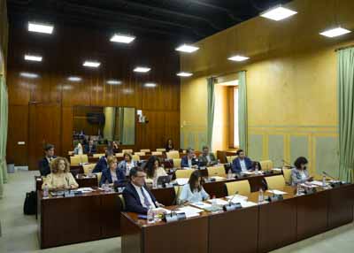 Diputados de Salud y Consumo durante la comparecencia de la consejera  
