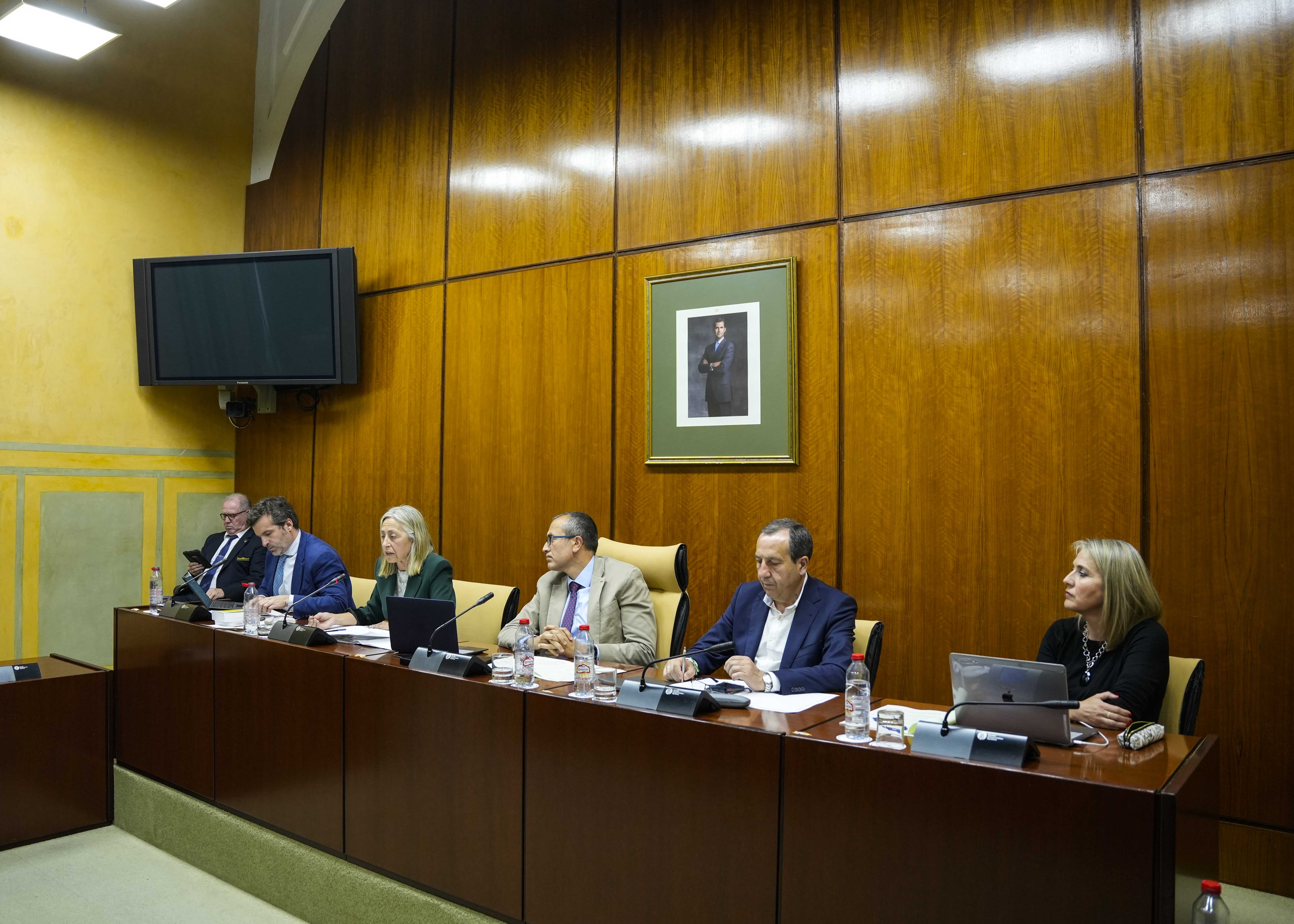 La Mesa de la Comisin de Salud y Consumo con la consejera titular  