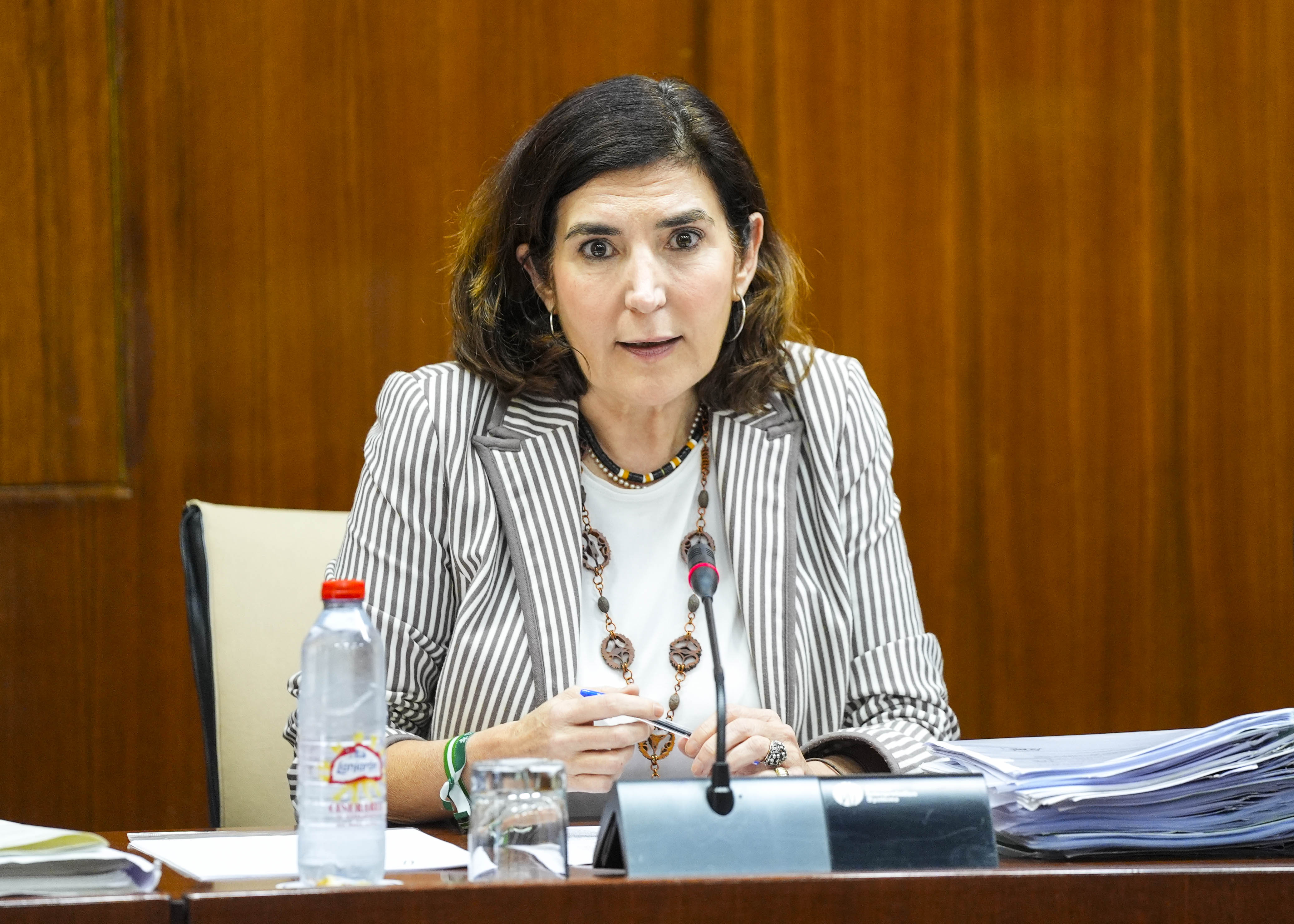 La consejera de Empleo, Empresa y Trabajo Autnomo, Roco Blanco, informa en comisin parlamentaria  