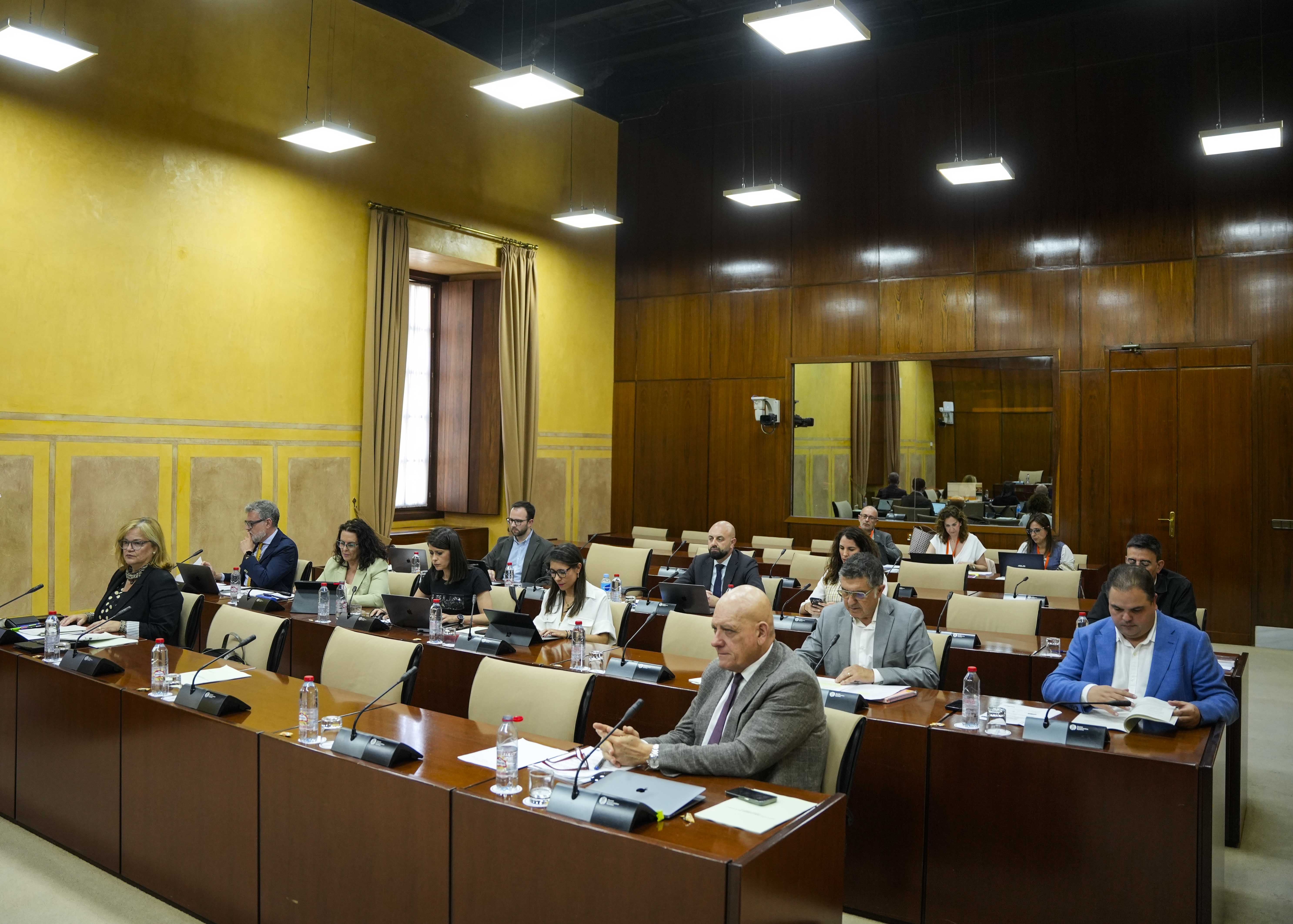 Los miembros de la comisin de Empleo, Empresa y Trabajo Autnomo al principio de la comparecencia de la consejera 