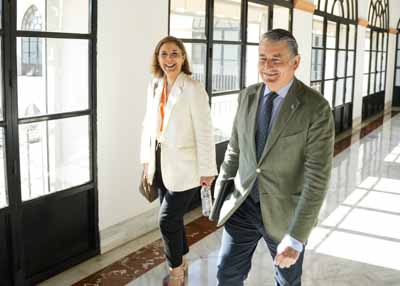 El consejero de la Presidencia, Interior, Dilogo Social y Simplificacin Administrativa, Antonio Sanz, a su llegada a la comisin 