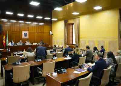 La Comisin de Presidencia, Interior, Dilogo Social y Simplificacin Administrativa con el consejero Antonio Sanz  