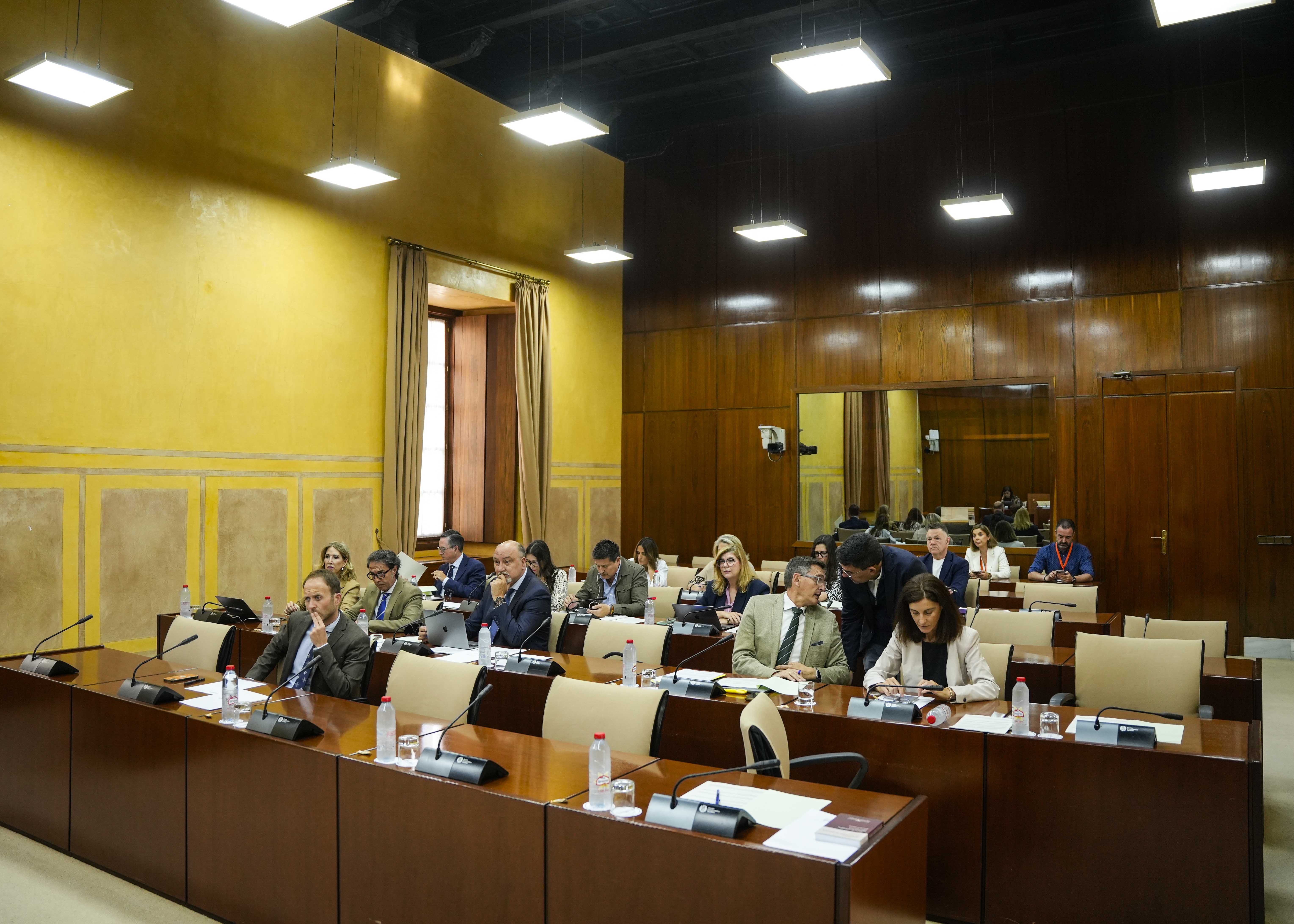 Diputados de la Comisin de Presidencia, Interior, Dilogo Social y Simplificacin Administrativa 