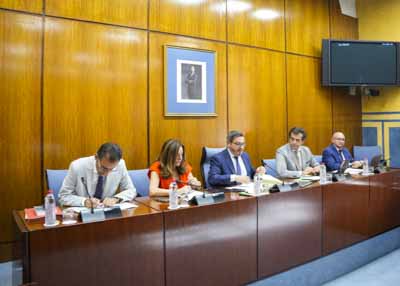 La Mesa de la Comisin de Desarrollo Educativo y Formacin Profesional en su sesin de esta maana 

 