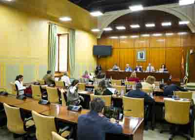 Comisin de Economa, Hacienda y Fondos Europeos con la consejera del ramo, Carolina Espaa  