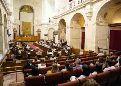  El saln de plenos durante la actividad "Diputados por un da", de Aldeas Infantiles 