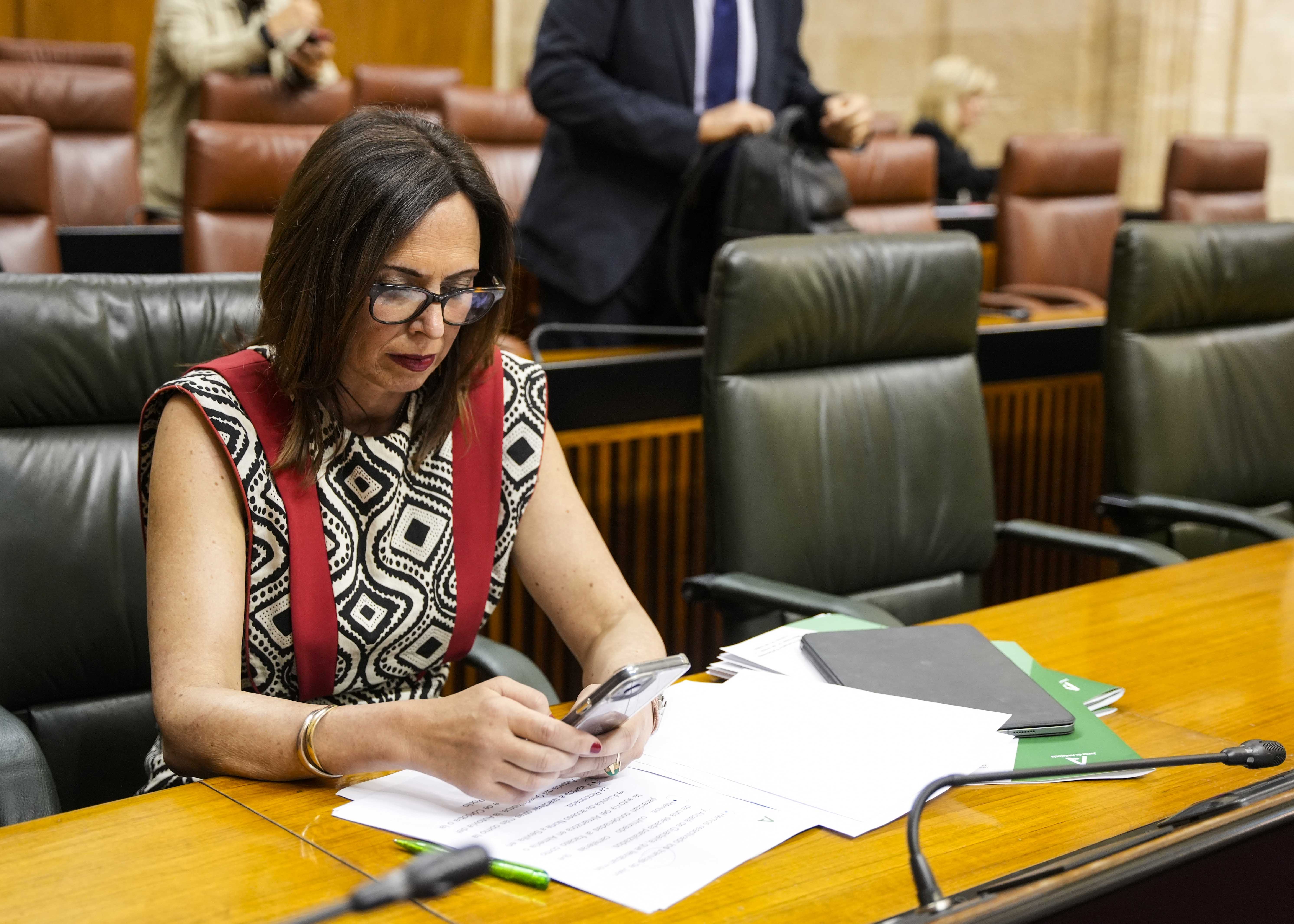 La consejera de Fomento, Articulacin del Territorio y Vivienda, Roco Daz, antes del pleno 