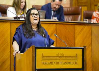 Para posicionar al Grupo Parlamentario Popular en el debate del proyecto de ley, interviene Dolores Bautista  