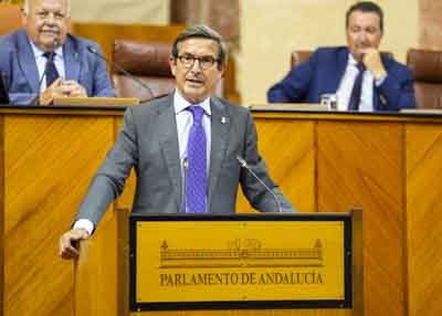 El consejero de Industria, Energa y Minas, Jorge Paradela, comparece en pleno para informar sobre los programas de incentivos de su consejera en apoyo del tejido industrial andaluz 