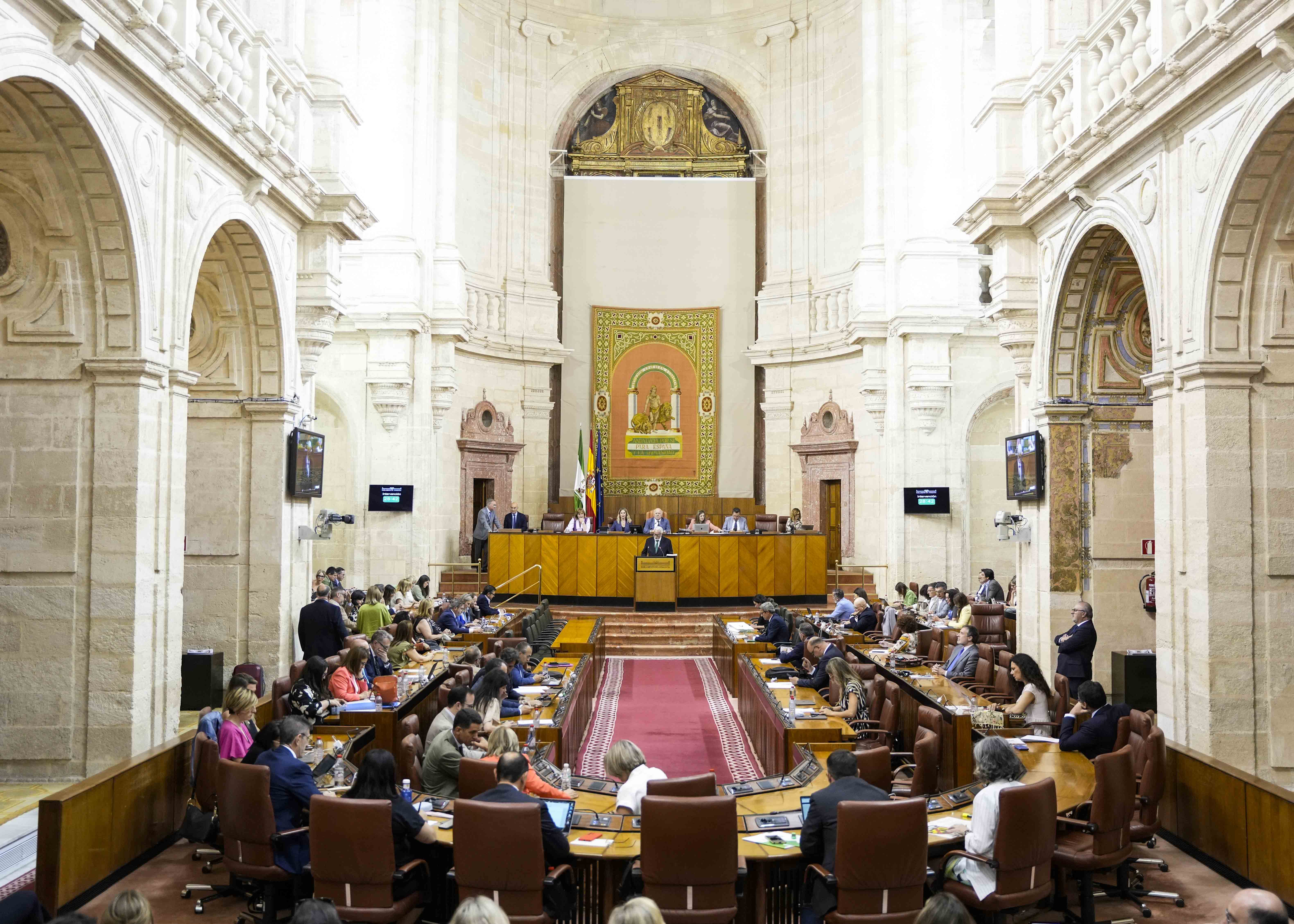 El Pleno del Parlamento de Andaluca durante la presentacin del informe anual del Defensor del Pueblo Andaluz por parte de su titular 
