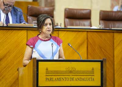 Catalina Garca, consejera de Sostenibilidad y Medio Ambiente, comparece para informar sobre la gestin de residuos en Andaluca  