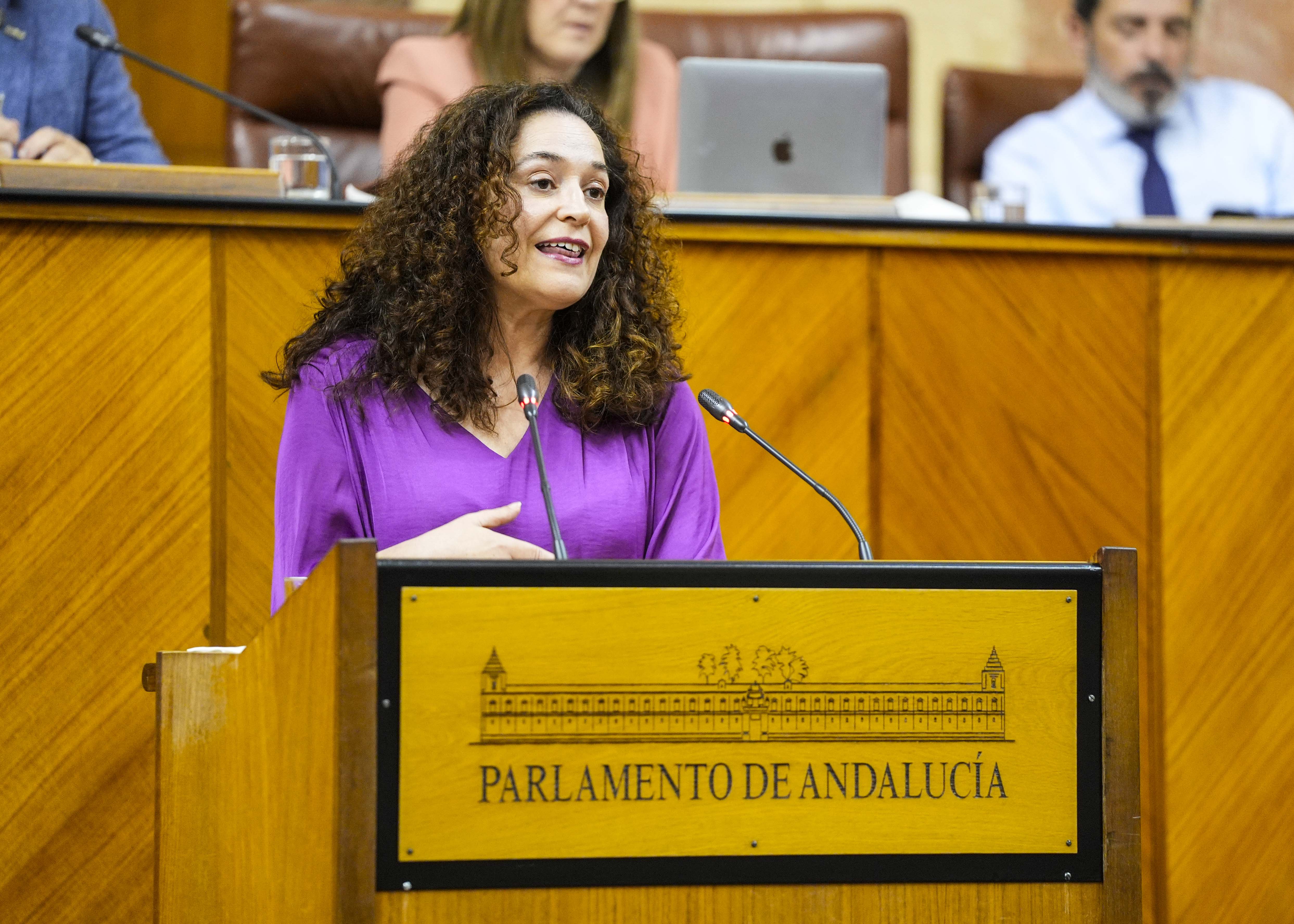 Inmaculada Nieto, portavoz del G.P. Por Andaluca, posiciona a su grupo parlamentario tras la presentacin del informe del Defensor del Pueblo Andaluz 