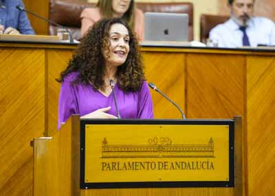 Inmaculada Nieto, portavoz del G.P. Por Andaluca, posiciona a su grupo parlamentario tras la presentacin del informe del Defensor del Pueblo Andaluz 