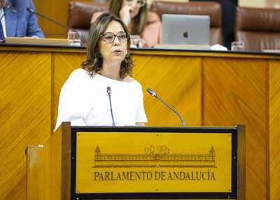 En nombre del G.P. Socialista toma la palabra Mara Isabel Ambrosio en el debate del informe 