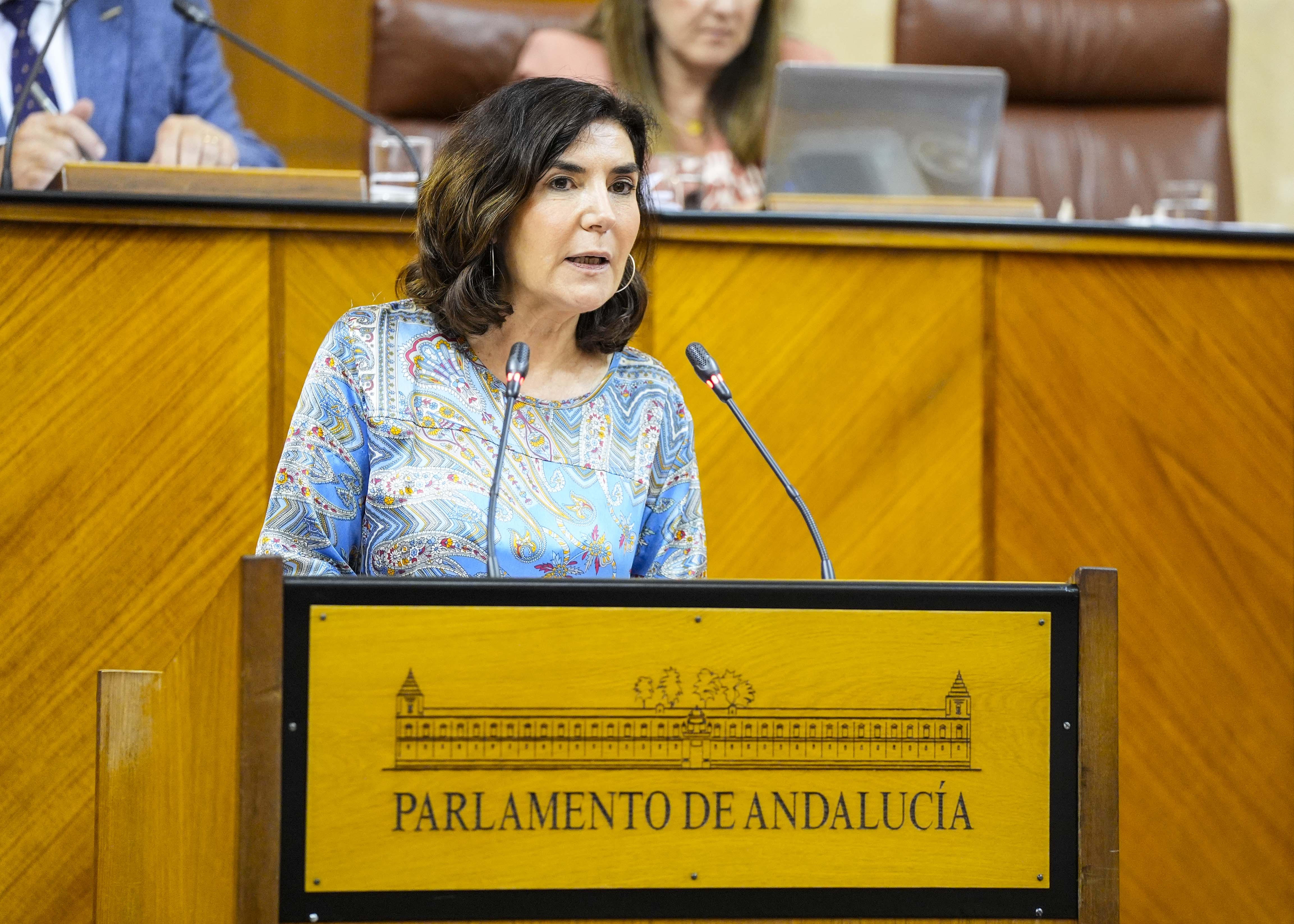 La consejera de Empleo, Roco Blanco, cierra el orden del da con una comparecencia relativa a los datos de empleo en abril de 2025 en Andaluca y necesidades de reformas legislativas para dinamizar el mercado laboral 