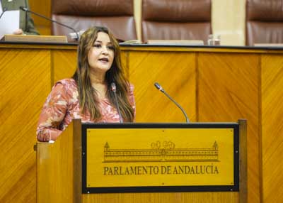 Por el G.P. Socialista, Vernica Prez inicia la primera jornada de pleno con una mocin relativa a poltica general en materia de formacin profesional 