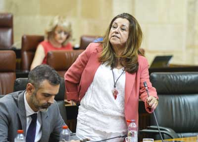 La consejera de Desarrollo Educativo y Formacin Profesional, Mara del Carmen Castillo, le responde 