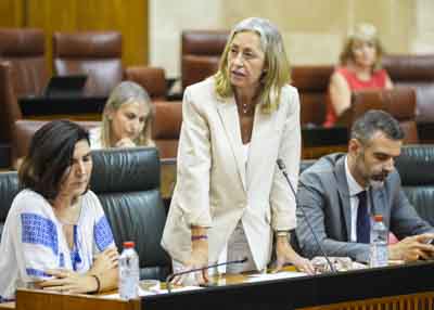 La consejera de Salud y Consumo, Roco Hernndez, contesta a la pregunta de su competencia 