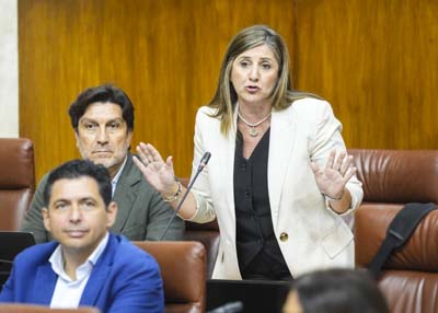 Irene Garca, del G.P. Socialista, pregunta sobre la asignacin de plazas residenciales de dependencia 