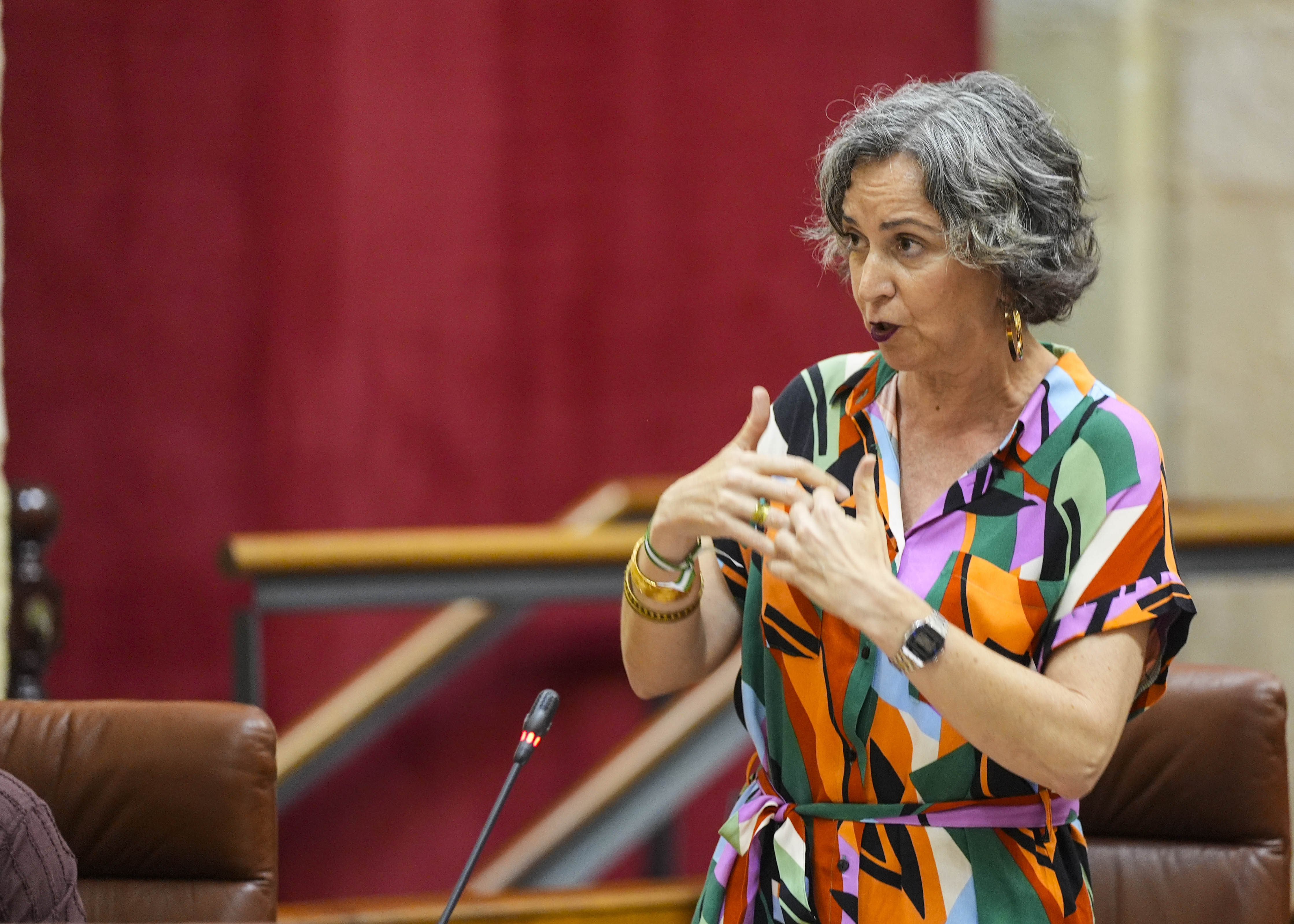  Por el Grupo Mixto-Adelante Andaluca, su presidenta, Miren Begoe Iza, pregunta sobre el impacto ambiental de la mina de Aznalcllar 