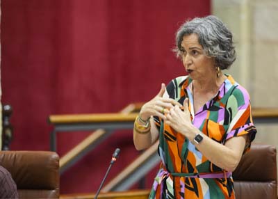  Por el Grupo Mixto-Adelante Andaluca, su presidenta, Miren Begoe Iza, pregunta sobre el impacto ambiental de la mina de Aznalcllar 