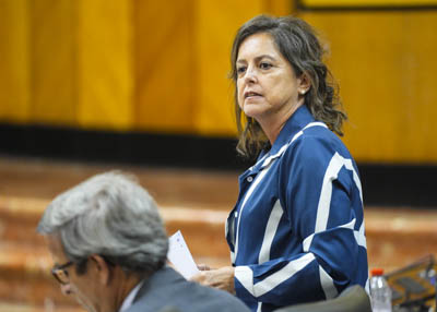 Contestacin de la consejera de Sostenibilidad y Medio Ambiente, Catalina Garca  