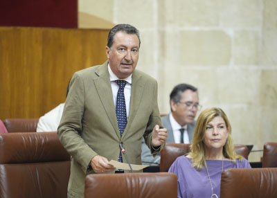 El diputado Manuel Andrs Gonzlez, del G.P. Popular, pregunta a la consejera de Fomento sobre el corredor ferroviario Sevilla-Huelva-Faro 