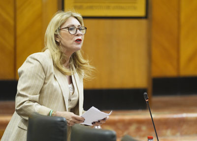 Carolina Espaa, portavoz del Consejo de Gobierno y consejera de Economa, Hacienda y Fondos Europeos, responde 