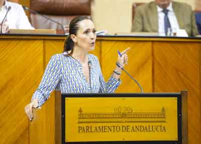  Mara Isabel Lozano, portavoz adjunta del Grupo Popular, presenta una PNLP relativa a rechazo al agravio del Gobierno de Espaa en la financiacin del Sistema para la Autonoma y Atencin a la Dependencia (SAAD)