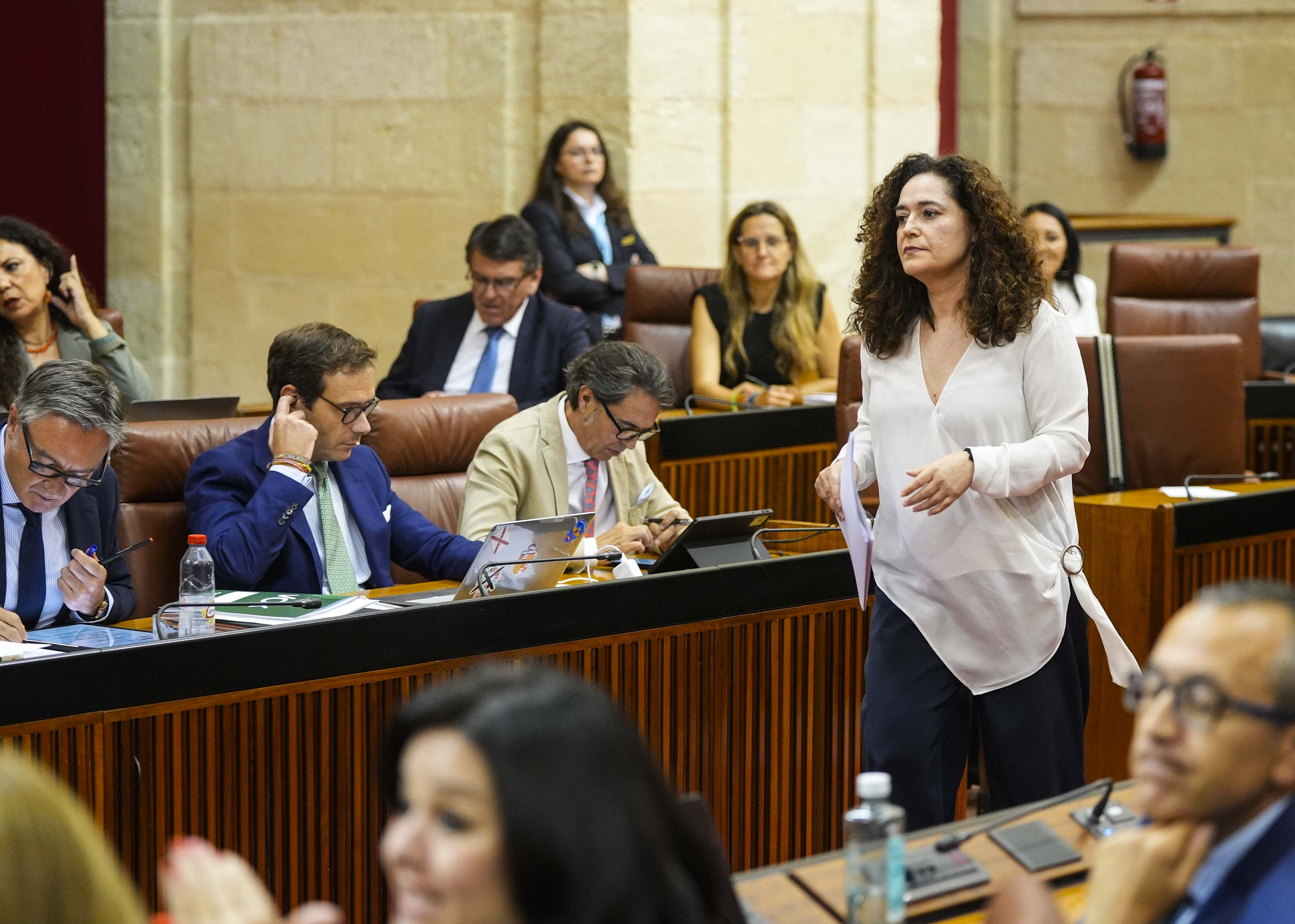 Inmaculada Nieto, portavoz del G.P. Por Andaluca, se dirige al atril