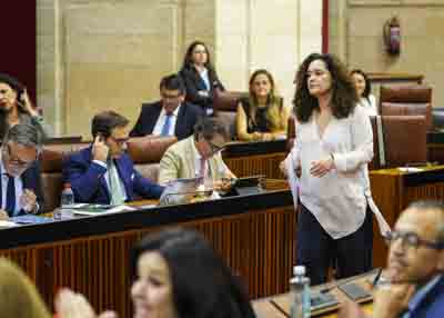 Inmaculada Nieto, portavoz del G.P. Por Andaluca, se dirige al atril
