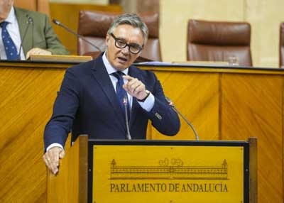 Manuel Gavira, portavoz del Grupo Parlamentario Vox en Andaluca, interviene en el debate 

 