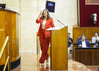 Mara Mrquez, portavoz del Grupo Socialista, llega al atril para el turno de posicionamiento de su grupo parlamentario
