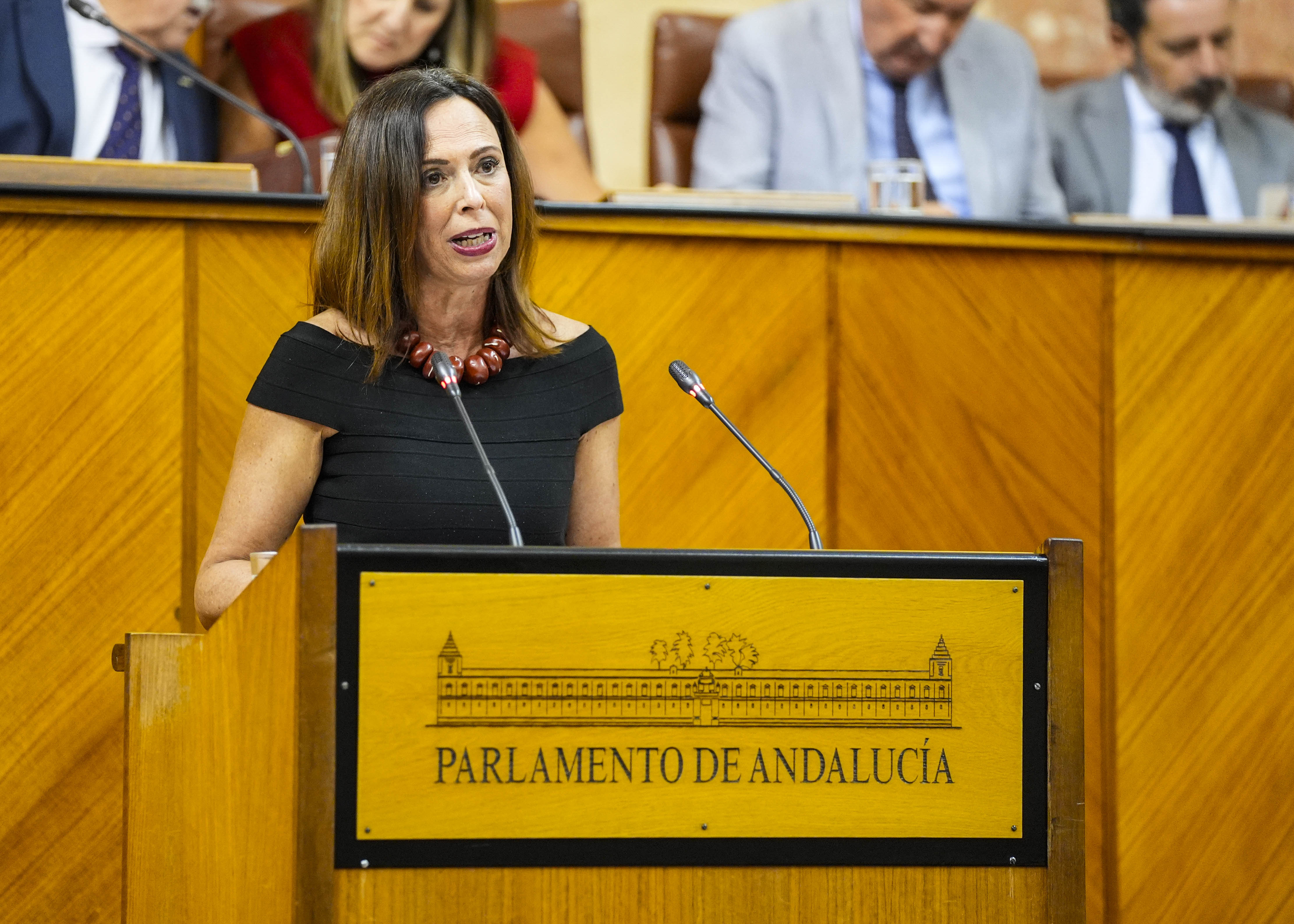  La consejera de Fomento, Roco Daz, solicita la convalidacin del decreto ley por el que se modifica la ley relativa a autorizaciones de arrendamiento de vehculos con conductor 