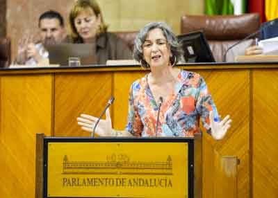 Miren Begoe Iza, presidenta del Grupo Mixto-Adelante Andaluca, posiciona a su grupo parlamentario  