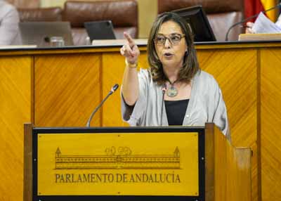 Mara Isabel Ambrosio posiciona al Grupo Parlamentario Socialista en el debate de convalidacin o derogacin del decreto ley 