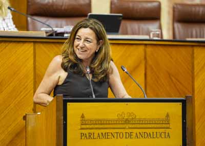  La consejera de de Desarrollo Educativo informa al Pleno sobre la oferta de Formacin Profesional 