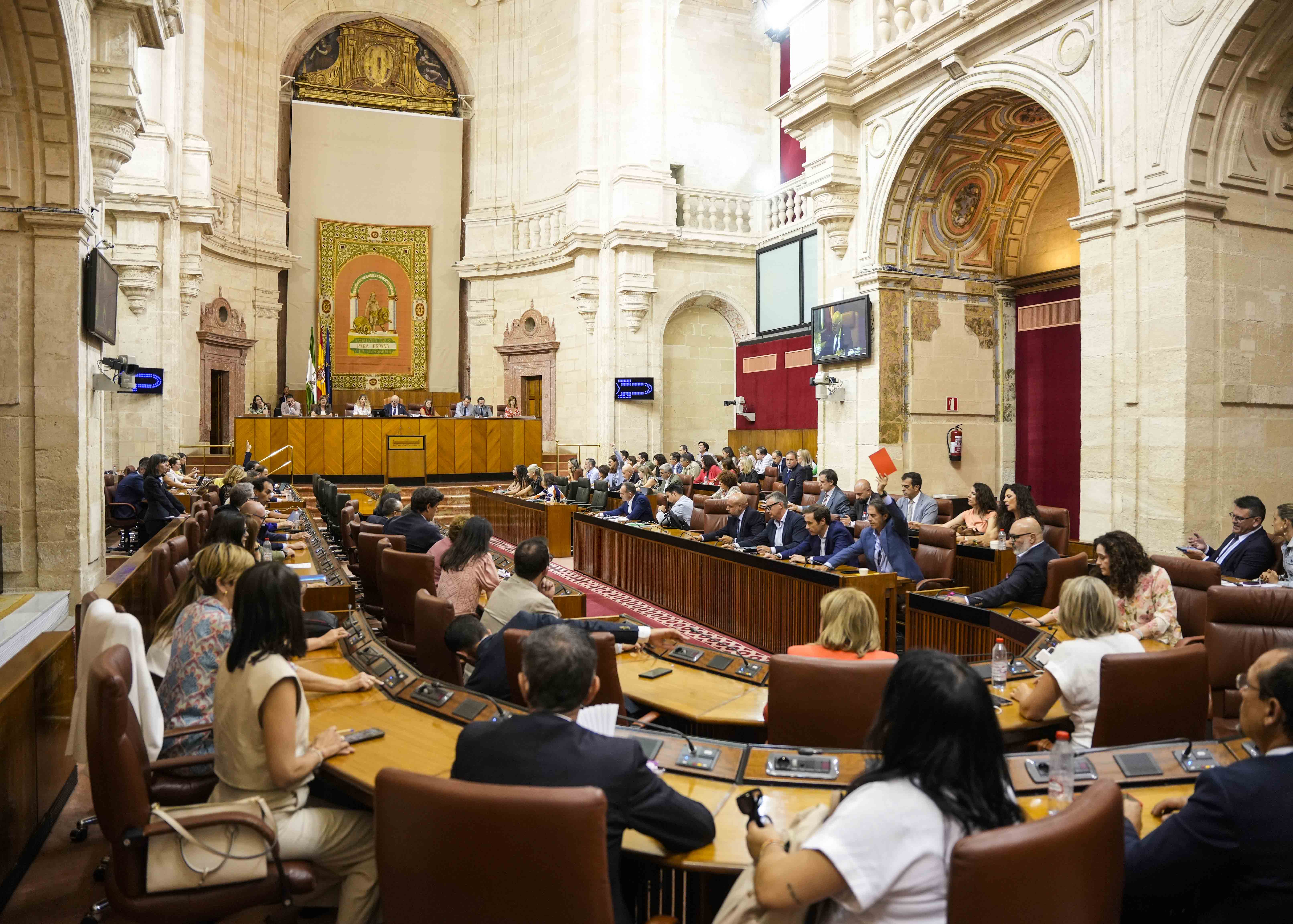    El Pleno del Parlamento, durante la votacin de convalidacin del decreto ley
