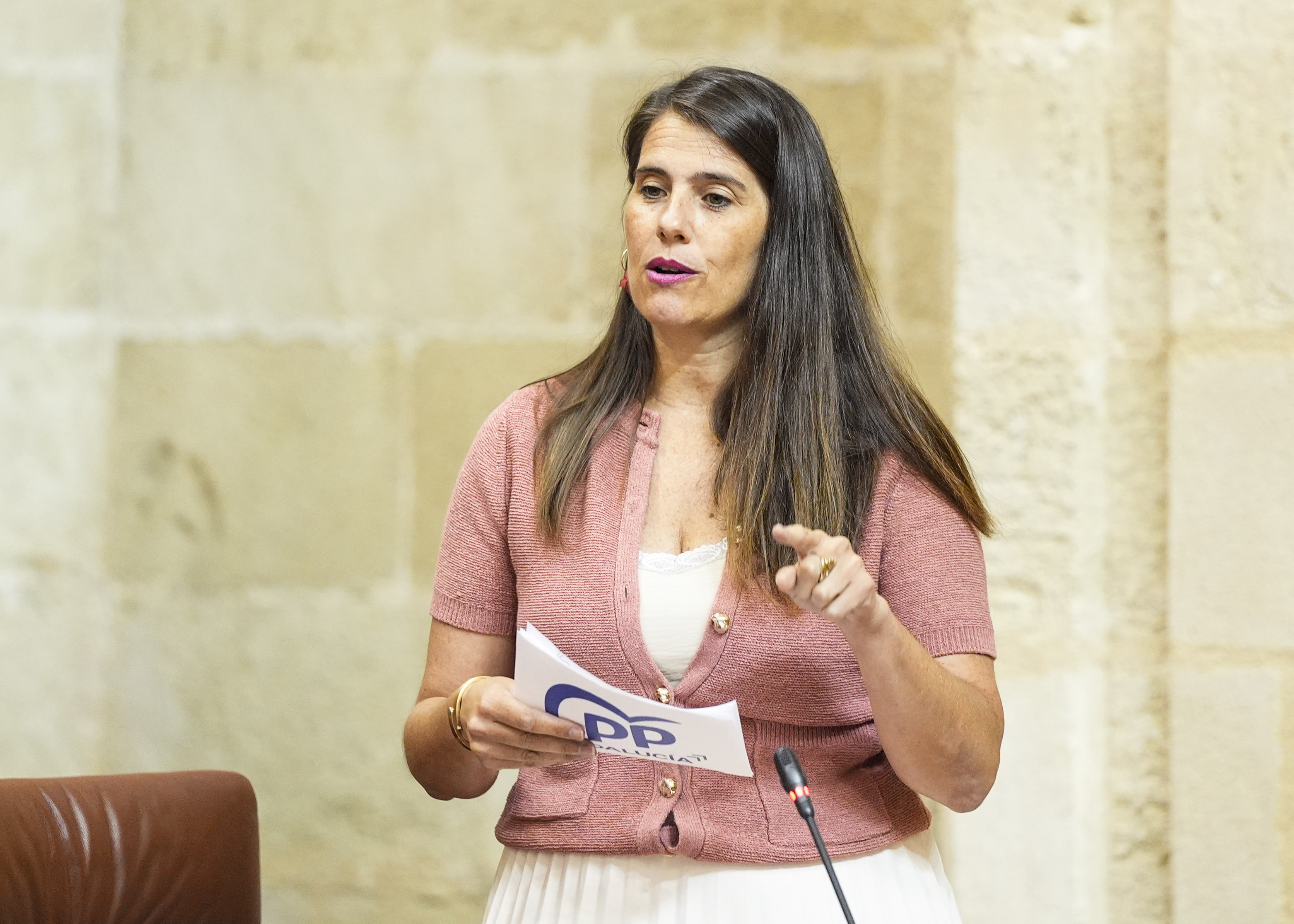  Por el Grupo Popular, Araceli Cabello formula una pregunta relativa al impulso de obras de mejora del abastecimiento en alta de la barriada de Cerro Muriano (Crdoba) 