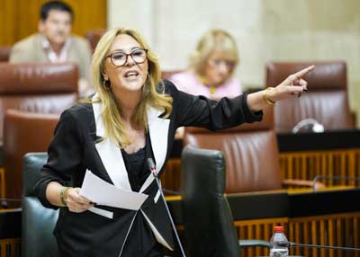 La consejera de Economa, Hacienda y Fondos Europeos, Carolina Espaa, responde al diputado 