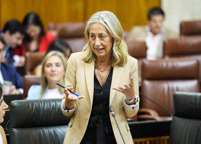 La consejera de Salud y Consumo, Roco Hernndez, da respuesta a la diputada 