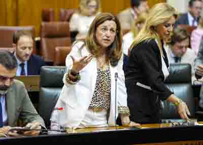 Mara del Carmen Castillo, consejera de Desarrollo Educativo y Formacin Profesional, responde 