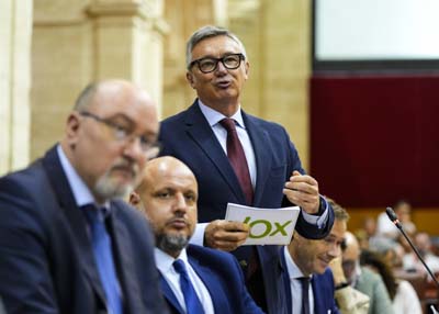 Manuel Gavira, portavoz del G.P. Vox en Andaluca, sustancia una pregunta dirigida al presidente de la Junta de Andaluca relativa a relacin con el Gobierno de Espaa 