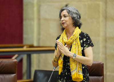 Miren Begoa Iza, presidenta del G.P. Mixto-Adelante Andaluca, pregunta sobre el servicio de ayuda a domicilio 