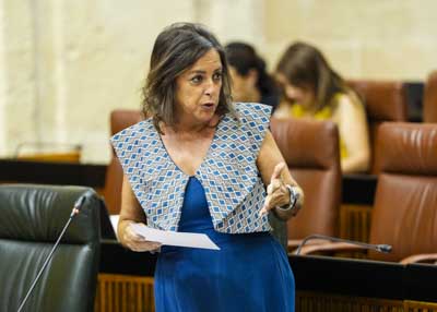 Catalina Garca, consejera de Sostenibilidad y Medio Ambiente, responde al tema de su mbito competencial 