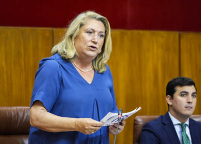 Cierra el apartado de preguntas al Gobierno Trinidad Herrera, del Grupo Popular, con una pregunta relativa a prestacin del servicio que se realiza en los juzgados de violencia sobre la mujer