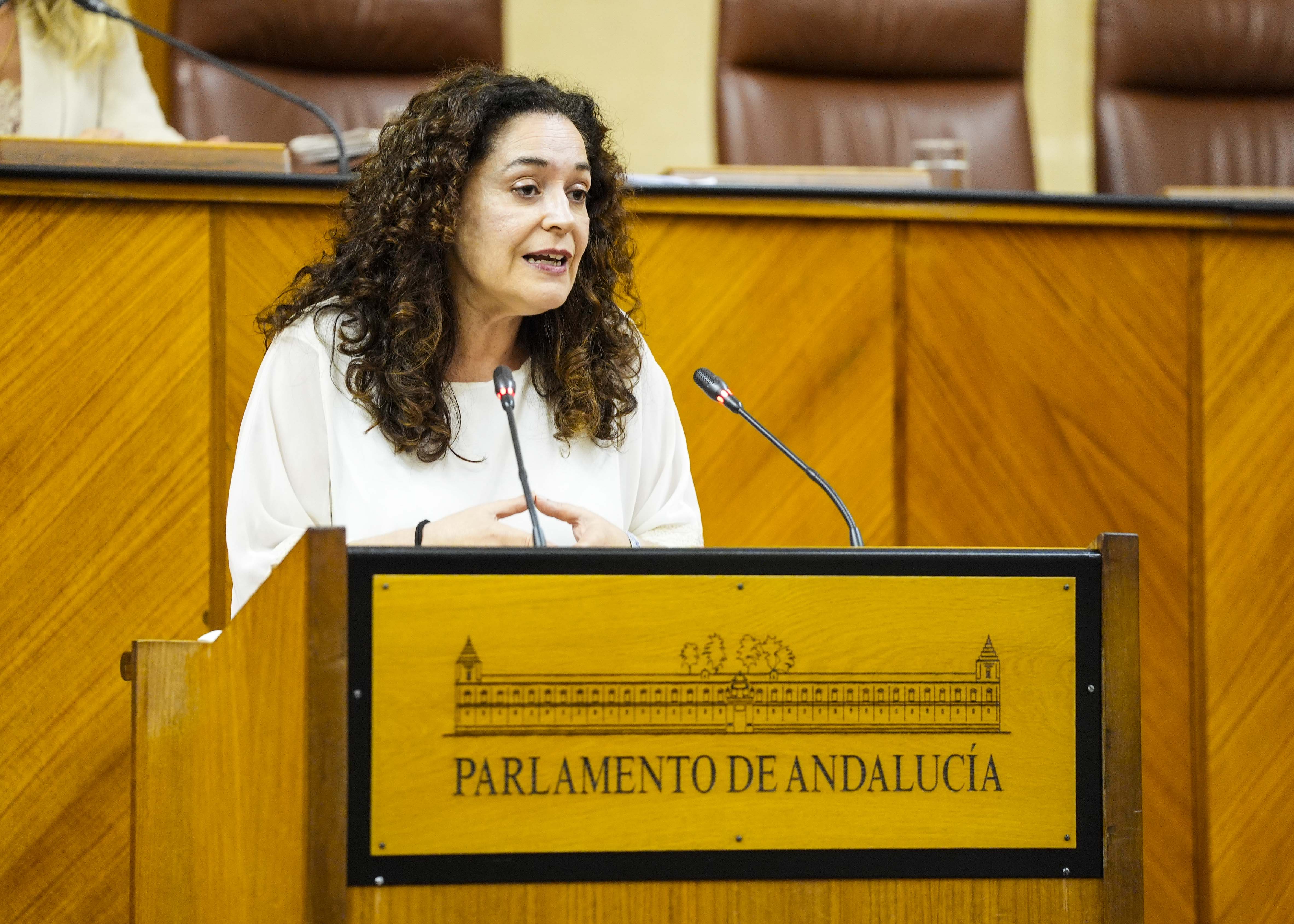 Inmaculada Nieto, portavoz del G.P. Por Andaluca, presenta la primera PNLP relativa a defensa de la tica pblica y contra la corrupcin  