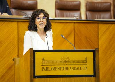 A propuesta conjunta de los GG.PP. Socialista, Por Andaluca y Mixto-Adelante Andaluca, la diputada Mara Angeles Prieto defiende una PNLP relativa a deterioro de la sanidad pblica andaluza, necesidad de incrementar su financiacin, mejorar las condiciones laborales y cumplir los pactos suscritos con los profesionales sanitarios  